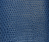 Periwinkle